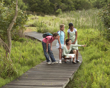 Kids Daytona Beach: Nature and Animal - Fun 4 Daytona Kids