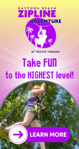 Daytona ZipLine
