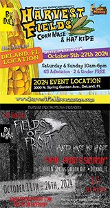 Corn Maze