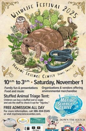 Wildlife Festival.jpg