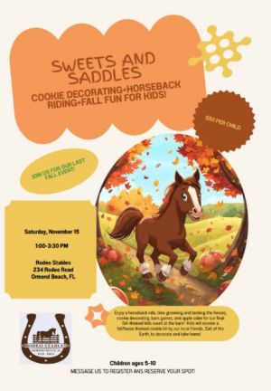 Sweets and saddle.jpg
