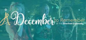 A December to remember .jpg