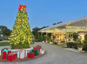 Holly Jolly Holidays .jpg