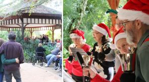 Ormond Arts Handbells.jpg