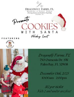 Dragon fly santa apperance .jpg