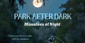 Park after dark .jpg