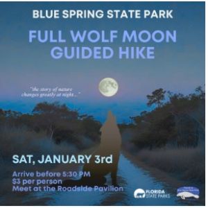 Wolf hike blue springs.jpg