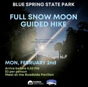 Wolf hike blue springs.jpg