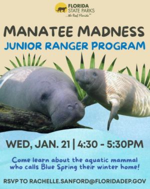 Manatee Madness.jpg