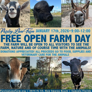 Screenshot 2026-01-15 10.54.19 PM.png