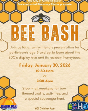 Screenshot 2026-01-27 7.42.49 PM.png