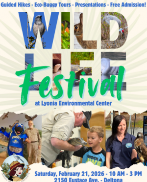 Screenshot 2026-01-27 8.18.51 PM.png