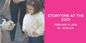 Screenshot 2026-01-27 10.23.03 PM.png