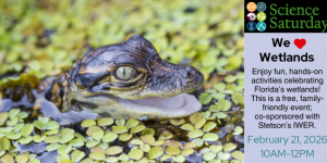 Screenshot 2026-02-12 7.54.57 PM.png