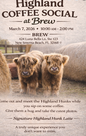 Screenshot 2026-02-25 5.27.33 PM.png