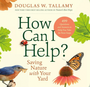 Screenshot 2026-02-25 6.00.24 PM.png