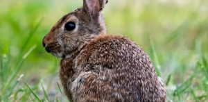 Screenshot 2026-02-26 2.44.36 PM.png