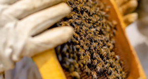 Screenshot 2026-02-26 3.04.27 PM.png