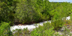 Screenshot 2026-02-26 2.54.02 PM.png