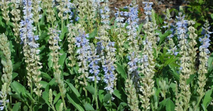 Screenshot 2026-02-26 3.20.39 PM.png