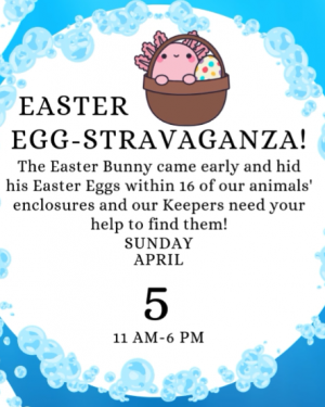 Screenshot 2026-02-27 11.47.10 PM.png