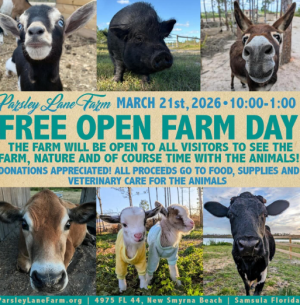 Screenshot 2026-03-14 10.55.44 AM.png