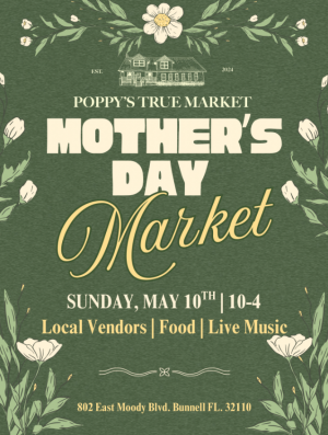 Screenshot 2026-03-24 10.45.06 PM.png