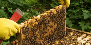 Screenshot 2026-03-26 10.47.23 AM.png