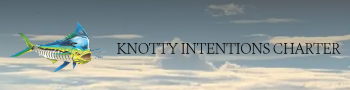 12628.png