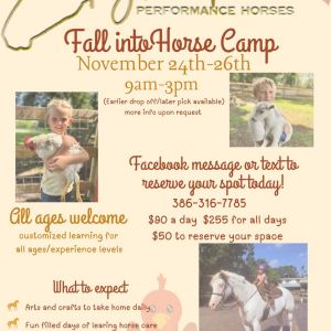 Taylor Made Performance Horses - Fall into Horse Camp
