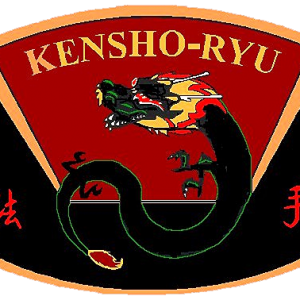 KSR Ultimate Martial Arts - Afterschool Program