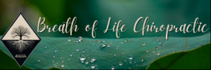 Breath of Life Chiropractic