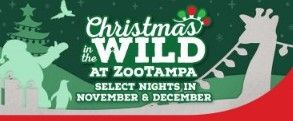 Zoo Tampa Christmas in the Wild