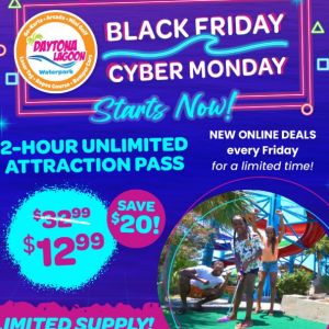Daytona Lagoon Black Friday Deal