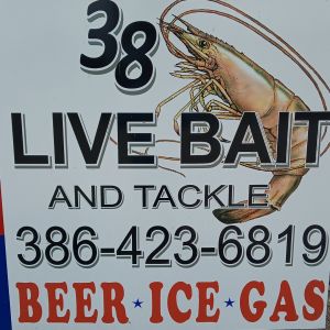 Thirty Eight Live Bait