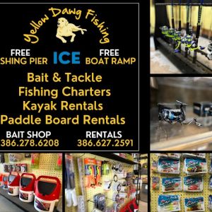 Yellow Dawg Paddle Board and Kayak Rental