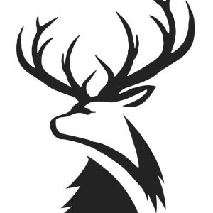 Florida Elks Summer Camp