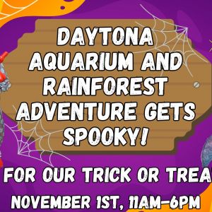 Daytona Aquarium Scuba Santa