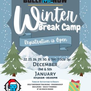 Bully Me Now Mixed Martial Arts Winter Break Camp