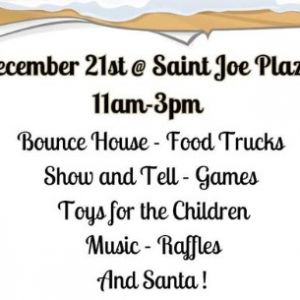 Lion's Mane - A Christmas Day