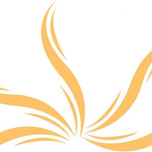 Sunshine State Academy K-12