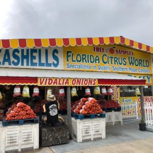 Florida Citrus World