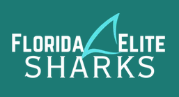Florida Elite Sharks Cheer