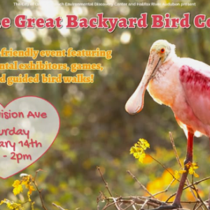 Environmental Discovery Center - The Great Backyard Bird Count