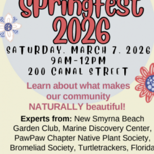 Canal Street Springfest