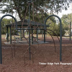 Timber Ridge Park