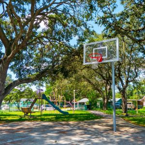 Cedar Highlands Park