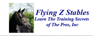 Flying Z Stables