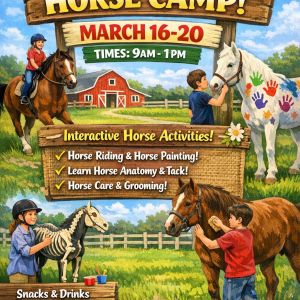 King View Farms Spring Break Horse Camp