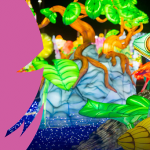 Brevard Zoo Illumi - Nature